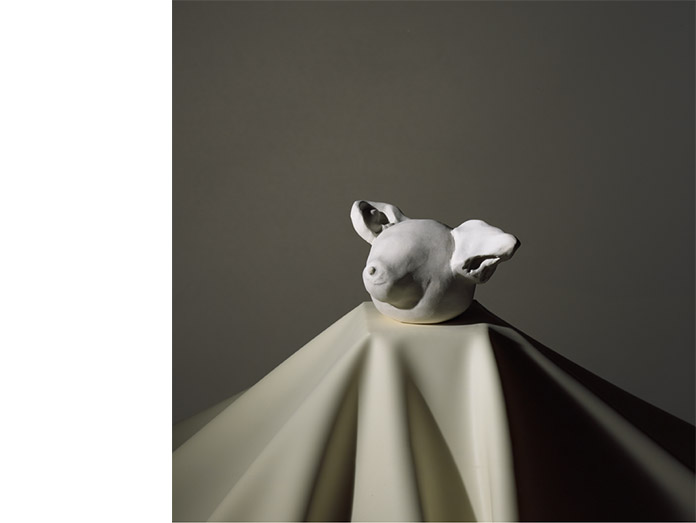 bioengeneering : photography robin brigham/brigit hegarty